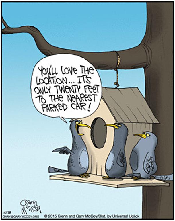 Comic: Birds in tree with birdhouse. 1st key to selling a home-location.  "You'll love the location...It's only twenty feet to the nearest parked car!"